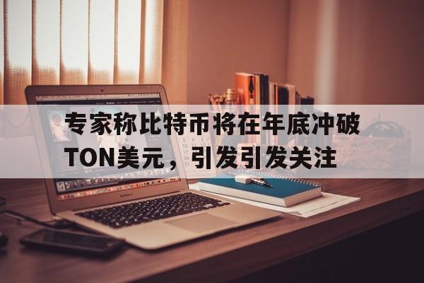 九游网页版-专家称比特币将在年底冲破TON美元，引发引发关注的简单介绍
